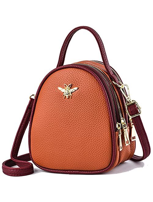 Small Crossbody Bags Shoulder Bag for Women Stylish Ladies Messenger Bags Purse and Handbags Wallet