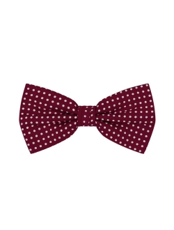 Polka Dot Print Men's Polka Dotted Pretied Bowtie