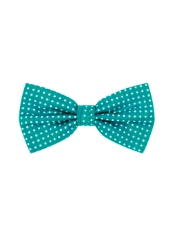 Polka Dot Print Men's Polka Dotted Pretied Bowtie