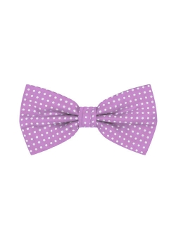 Polka Dot Print Men's Polka Dotted Pretied Bowtie