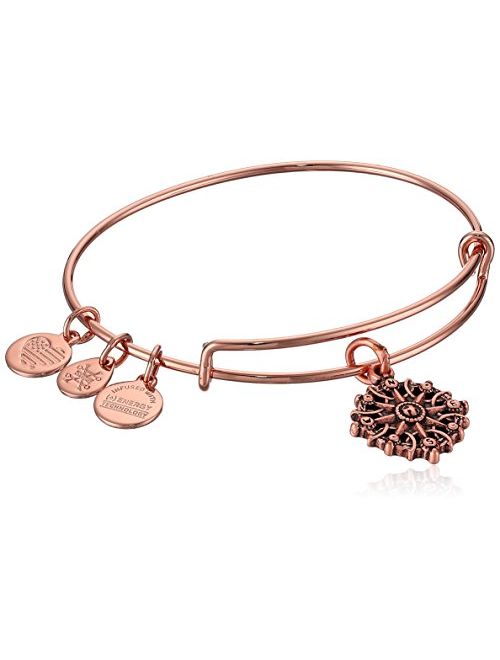 Alex and ANI Compass III Bangle Bracelet