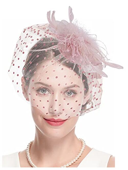 Cizoe Fascinator Hair Clip Pillbox Hat Bowler Feather Flower Veil Wedding Party Hat Tea Hat