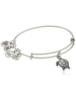 Charity By Design Turtle Rafaelian Bangle Bracelet