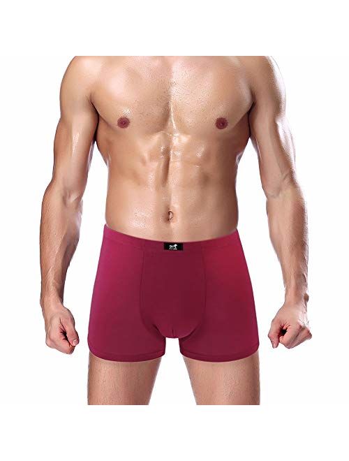 SLJ Boxer Briefs for Men 5-Pack Cotton Underwear Short Leg Trunks Multipack No Fly