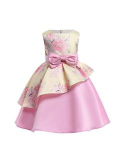 AIMJCHLD 2-9T Girls Flower Dress Kids Formal Special Occasion Party Dresses