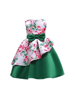 AIMJCHLD 2-9T Girls Flower Dress Kids Formal Special Occasion Party Dresses