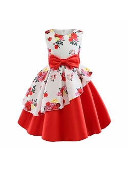 AIMJCHLD 2-9T Girls Flower Dress Kids Formal Special Occasion Party Dresses