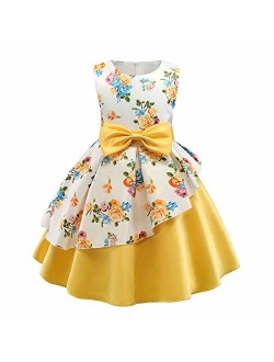 AIMJCHLD 2-9T Girls Flower Dress Kids Formal Special Occasion Party Dresses