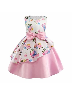 AIMJCHLD 2-9T Girls Flower Dress Kids Formal Special Occasion Party Dresses