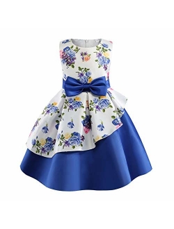 AIMJCHLD 2-9T Girls Flower Dress Kids Formal Special Occasion Party Dresses