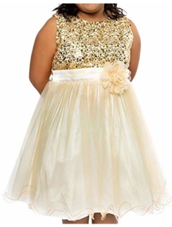 Gorgeous Sequined Round Neck Tulle Flower Corsage Pageant Flower Girl Dress