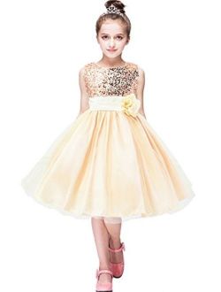 EFOFEI Girls Sleeveless Round Neck Sequin Party Tutu Tulle Prom Gown Formal Dress