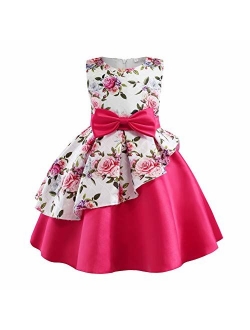 NSSMWTTC 2-8T Girls Floral Print Dresses Kids Pageant Party Dress