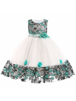 Myosotis510 Girls' Lace Princess Wedding Baptism Dress Long Sleeve Formal Party Wear for Toddler Baby Girl