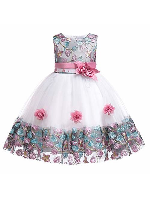 Myosotis510 Girls' Lace Princess Wedding Baptism Dress Long Sleeve Formal Party Wear for Toddler Baby Girl