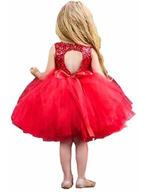 Shiny Toddler Little/Big Girls Shiny Sequins Birthday Party Dance Dress