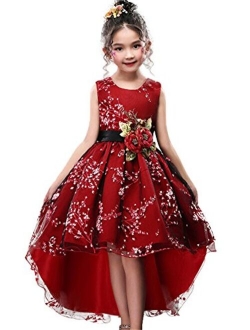 WEONEDREAM Princess Girls Dress for Wedding Birthday Party with Train Size 3-14 Years