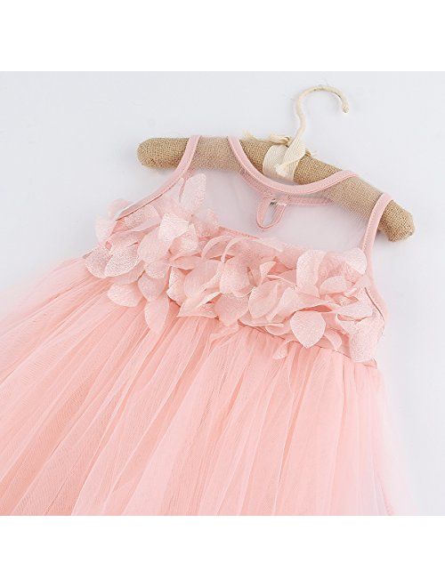 1-6T Kids Girls Mesh Tulle Skirt Dress for Birthday Flower Girl Special Occasion