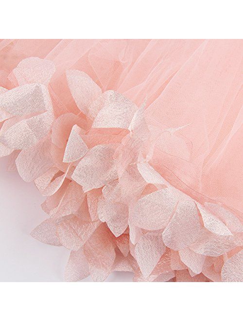 1-6T Kids Girls Mesh Tulle Skirt Dress for Birthday Flower Girl Special Occasion