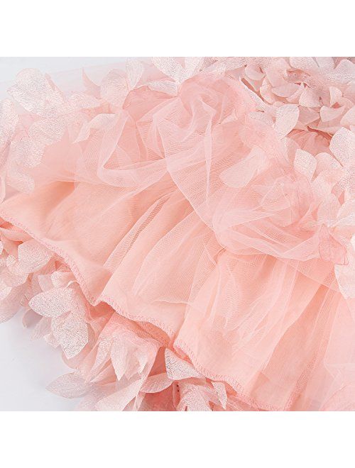 1-6T Kids Girls Mesh Tulle Skirt Dress for Birthday Flower Girl Special Occasion