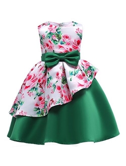 NSSMWTTC Flower Girls Pageant Party Dresses Kids Special Occasion Dress