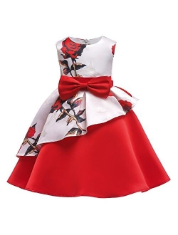 NSSMWTTC Flower Girls Pageant Party Dresses Kids Special Occasion Dress