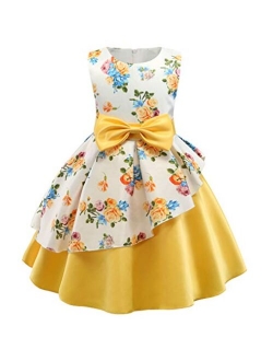 NSSMWTTC Flower Girls Pageant Party Dresses Kids Special Occasion Dress