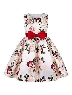 NSSMWTTC Flower Girls Pageant Party Dresses Kids Special Occasion Dress