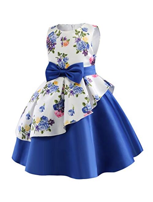 NSSMWTTC Flower Girls Pageant Party Dresses Kids Special Occasion Dress