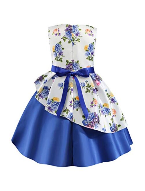 NSSMWTTC Flower Girls Pageant Party Dresses Kids Special Occasion Dress