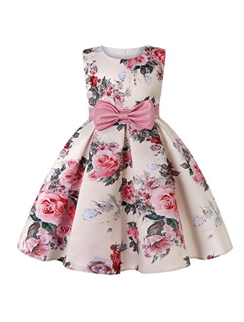 NSSMWTTC Flower Girls Pageant Party Dresses Kids Special Occasion Dress