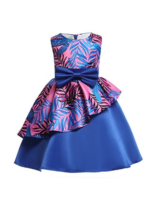 NSSMWTTC Flower Girls Pageant Party Dresses Kids Special Occasion Dress