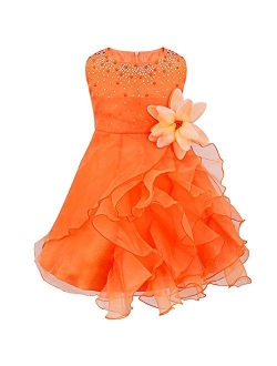 iiniim Baby Girls Organza Tutu Princess Birthday Party Baptism Flower Girl Dress