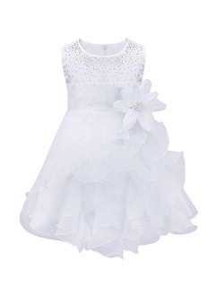 iiniim Baby Girls Organza Tutu Princess Birthday Party Baptism Flower Girl Dress