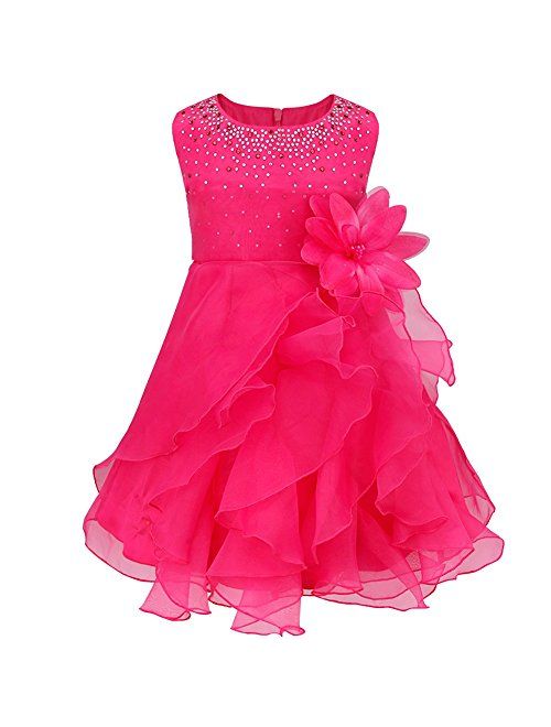 iiniim Baby Girls Organza Tutu Princess Birthday Party Baptism Flower Girl Dress