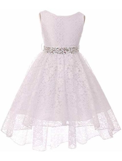 Little Girls Floral Lace Rhinestones Christmas Holiday Easter Flower Girl Dress