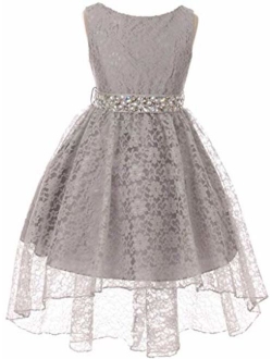 Little Girls Floral Lace Rhinestones Christmas Holiday Easter Flower Girl Dress