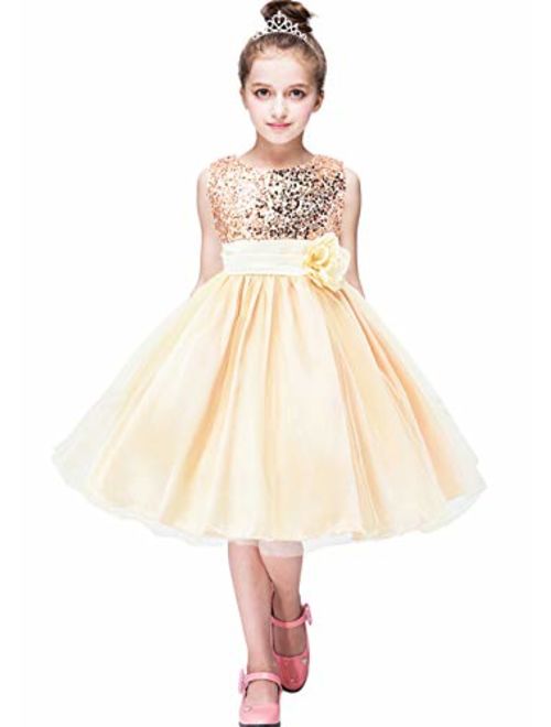 GRASWE Girls Sequin Princess Dress Flower Lace Tutu Tulle Party Evening Dress