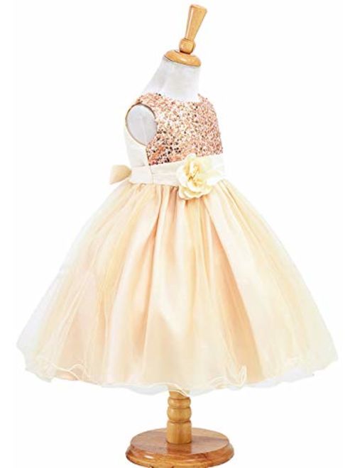 GRASWE Girls Sequin Princess Dress Flower Lace Tutu Tulle Party Evening Dress