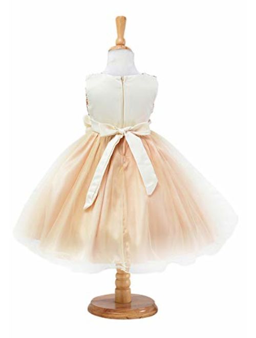 GRASWE Girls Sequin Princess Dress Flower Lace Tutu Tulle Party Evening Dress