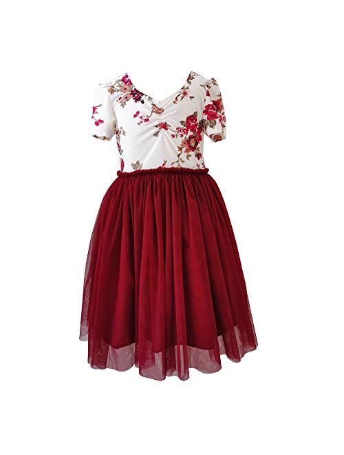 Flofallzique Floral Girls Party Dress Long Sleeves Tulle Spring Toddler Valentine Dress