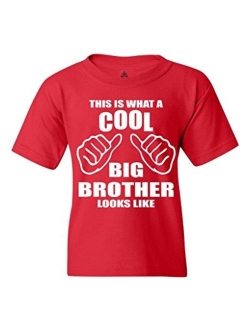 shop4ever This is What a Cool Big Brother Looks Like Youth's T-Shirt