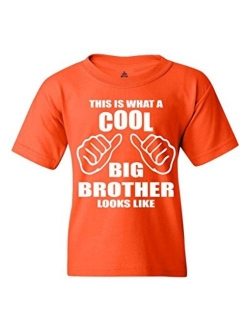 shop4ever This is What a Cool Big Brother Looks Like Youth's T-Shirt