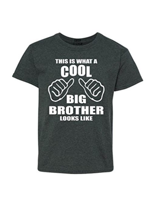 shop4ever This is What a Cool Big Brother Looks Like Youth's T-Shirt