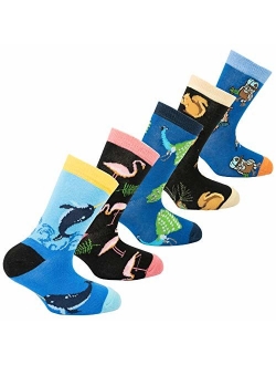 Socks n Socks-Kids 5-pair Fun Cool Cotton Colorful Dress Crew Socks Gift Box