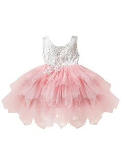 Little Girl Lace Flower Tutu Dress Backless Princess Wedding Bridesmaid Formal