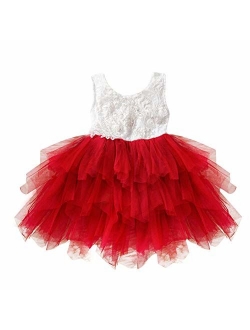 Little Girl Lace Flower Tutu Dress Backless Princess Wedding Bridesmaid Formal