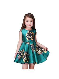 Kidscool Little Girls Sleeveless Yellow Rose Print Green Princess Dress