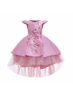 Little Girls Handmade Flower High Low Dress Birthday Party Fancy Lace Princess Costume Dance Ball Gown