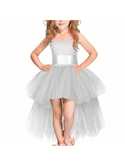 Little Girls Handmade Flower High Low Dress Birthday Party Fancy Lace Princess Costume Dance Ball Gown